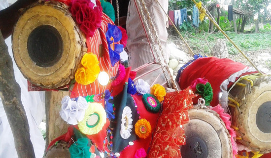 थारु समुदायको मादल बनाउने सीप ओझेलमा