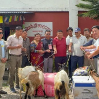 मन्त्रालयको नाम परिवर्तन गर्ने निर्णय