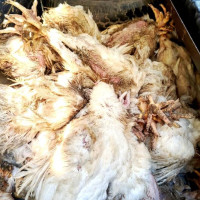 मन्त्रालयको नाम परिवर्तन गर्ने निर्णय