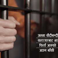 चाडपर्वको नाममा कुखुराको बढ्यो अवैध आयात