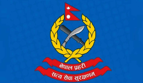 दसैँ किनमेल ठगिँदै उपभोक्ता