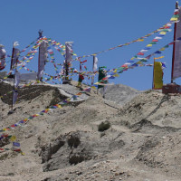 वर्षातमा पनि चलायमान सौराहा