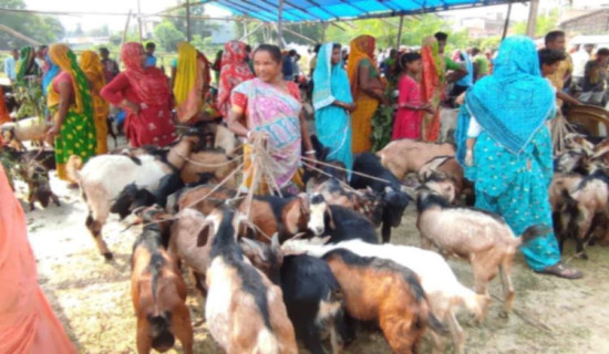 निर्वाचन क्षेत्र पूर्वाधार साझेदारी कार्यक्रम खारेज