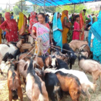 घट्दै समानीकरण अनुदान
