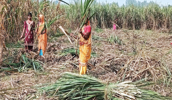 पूर्वपश्चिम राजमार्ग विस्तार, समयमै निर्माण सम्पन्न गर्न कठिन