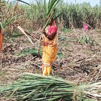 बल्खु–कलङ्की सडकखण्ड: अख्तियारद्वारा छानबिन सुरु