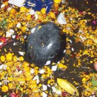 जलेश्वर नगरपालिकामा जसपाले खाता खोल्यो