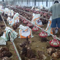 मुस्ताङ भन्सारमा १ अर्ब ७५ करोड राजश्व सङ्कलन