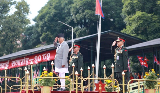 सैनिक मञ्च टुँडिखेलमा फूलपाती बढाइँ