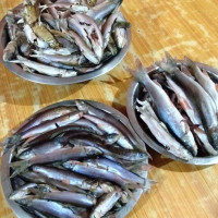 पृथ्वी राजमार्गमा पहिरो : पहरो काटेर बाटो खोल्ने प्रयास