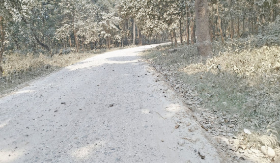निकुञ्जभित्रको बाटो निर्माण रोक्का