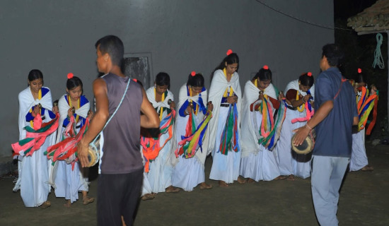 सखिया नाचले गुल्जार बन्दै थारू गाउँवस्ती