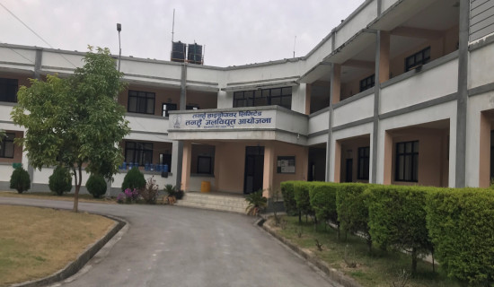तनहुँ जलविद्युत आयोजनाः दसैं बिदामा काम जारी