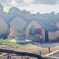 'गुरिल्ला म्याराथन'को उपाधि दलबहादुर र मन्जुले लियो