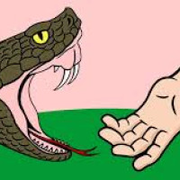 घोडाघोडी २ को वडा अध्यक्षमा एमालेका चौधरी विजयी