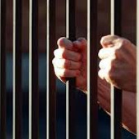 ट्रम्प–नेतान्याहुबीच गाजा युद्ध अन्त्य गर्ने २०–बुँदे योजना, समीक्षा गर्दै हमास