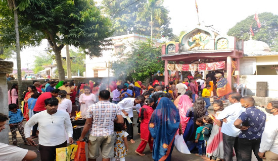 पाल्हीभगवती मन्दिरमा दसैँको उमङ्ग