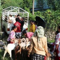 सर्पको टोकाइले बालकको मृत्यु