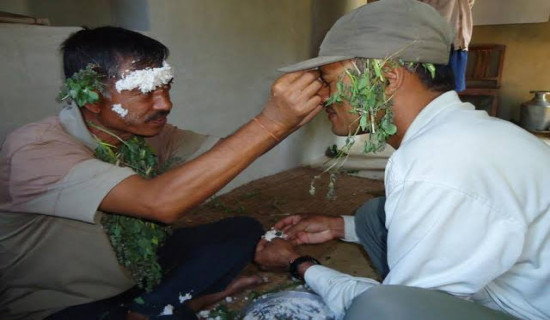 सर्पको टोकाइले बालकको मृत्यु