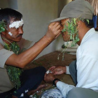 आजका लागि यस्तो छ विदेशी मुद्राको विनिमयदर