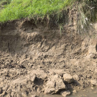 महानवमीका दिन पनि दुर्गा भवानीको ‘खोइँछ’ भरिँदै