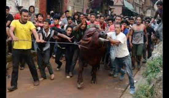 भक्तपुरमा आज खःमेय् जात्रा मनाइँदै