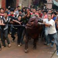 मातृभाषा पत्रकारितालाई सहयोग गर्न आग्रह