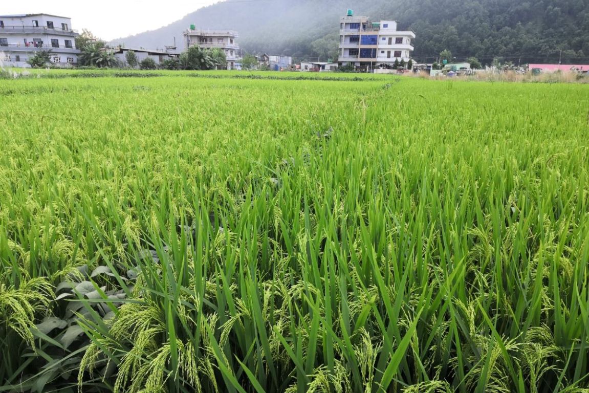 blog
