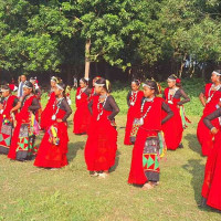 धान खेतको हरियाली