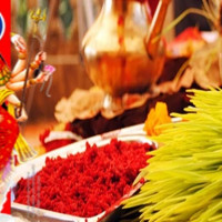 अमेरिकामा जन्मियो खैरो जिराफ