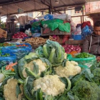 यस्तो छ आजका लागि तरकारी र फलफूलको थोक मूल्य