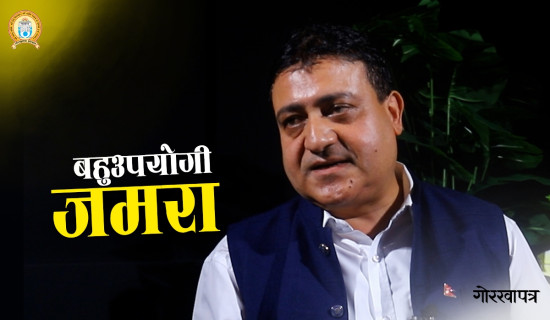 विपी राजमार्गमा राति सवारी सञ्चालनमा रोक