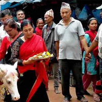 मौलिकताको पर्व थारू माघी