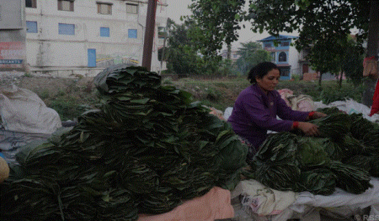 सडक तथा पुल निरीक्षणमा मन्त्री घिसिङ