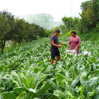 २० बढी स्थानमा सरायँ नाच प्रदर्शन