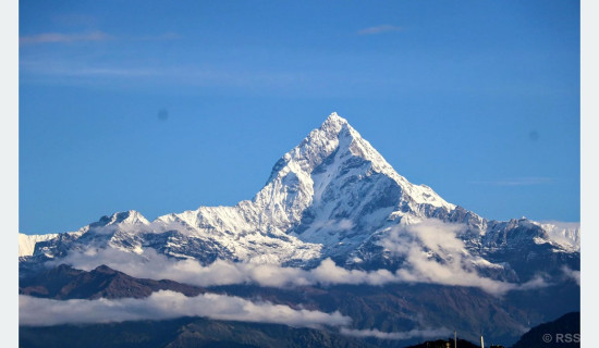 दुध बेचेर मनग्य आम्दानी