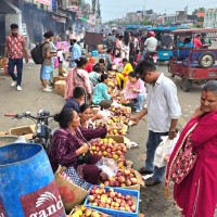 यस वर्ष सस्तियो भेडाच्याङग्राको मूल्य