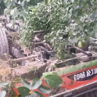 पर्यटकलाई पदयात्रामा नजान प्रशासनको आग्रह