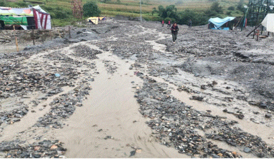 धनगढीबाट हिडेको बस बनकसबासमा दुर्घटना, २२ जना घाइते