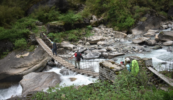 आइटी : दशककै अत्यावश्यक शिक्षा