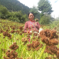 वर्षातमा लोकमार्गका यात्रुलाई सास्तीनै सास्ती