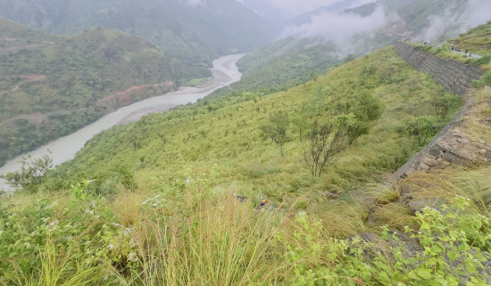 आज साँझदेखि आइतबार बिहानसम्म भारी वर्षाको सम्भावना
