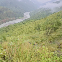 विपद् व्यवस्थापनमा खटिए महानगर प्रहरी