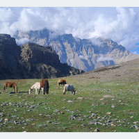 खाली भएका गाउँबस्ती दसैँमा भरिँदै