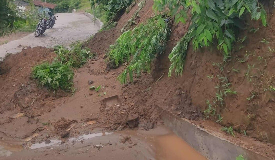 खाली भएका गाउँबस्ती दसैँमा भरिँदै