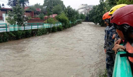 अविरल वर्षातको प्रभाव : प्रमुख आठ नदी खतराको तह पार, १२ नदी सतर्कताको तहमाथि