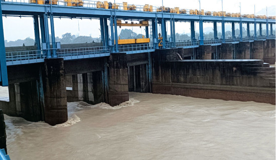 सुरक्षित रहन दलहरूको आग्रह