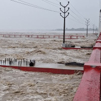 तीन जना मन्त्री सिफारिस