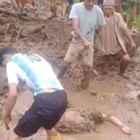धानको बाला झुले खेतैमा !