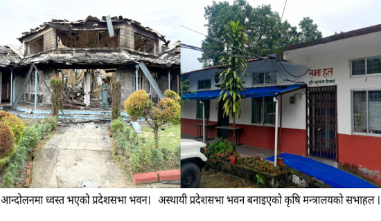 धानको बाला झुले खेतैमा !